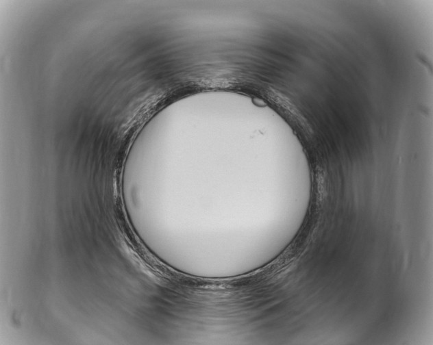 X0000102790541200808180956