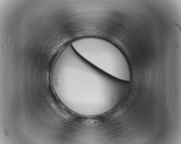 X0000102790542200808180956