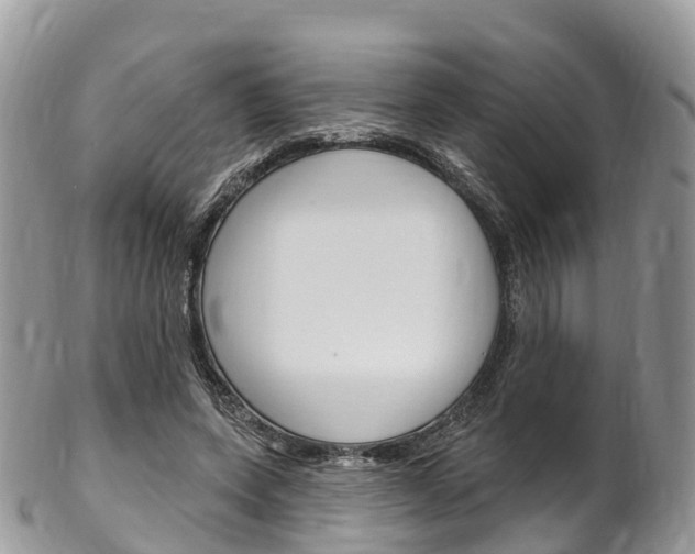 X0000102790543200808180956