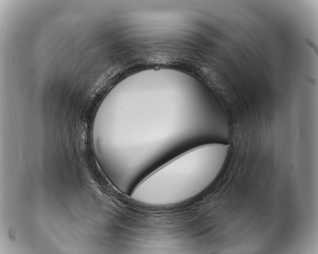 X0000102790544200808180956