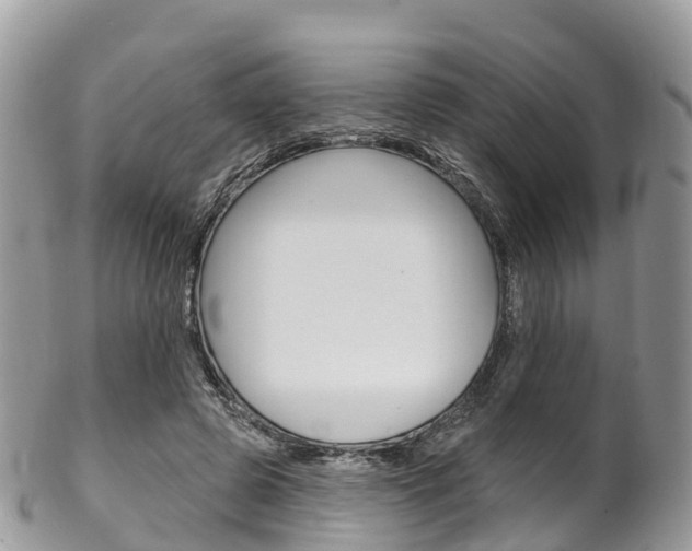 X0000102790545200808180956