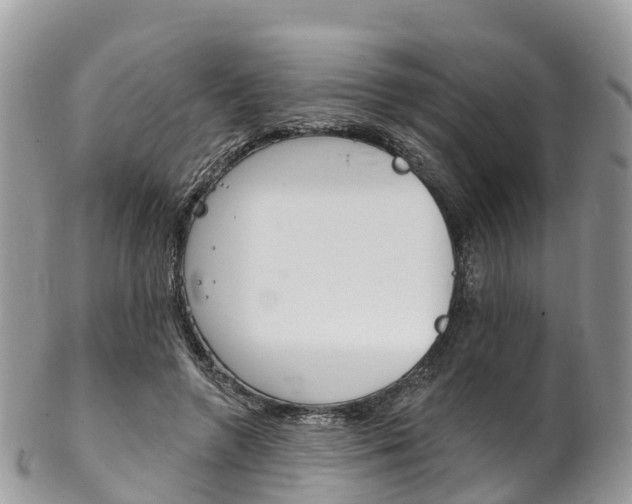 X0000102790546200808180956