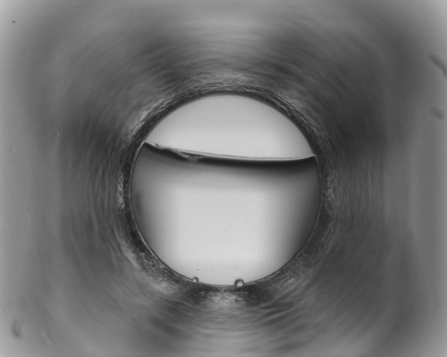 X0000102790547200808180956
