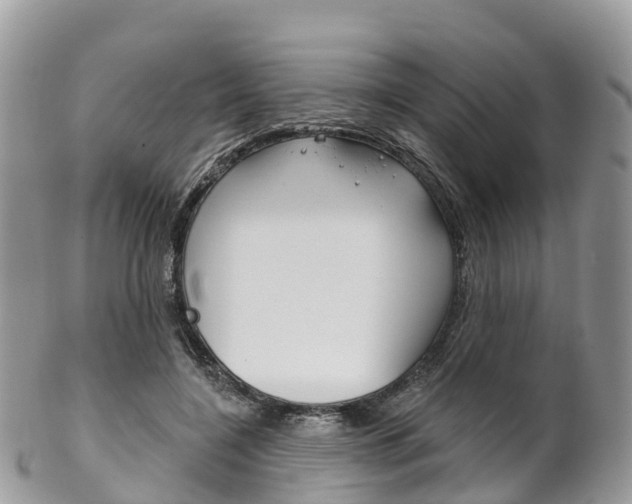 X0000102790548200808180956