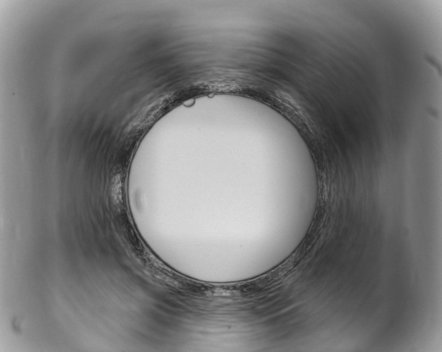 X0000102790549200808180956
