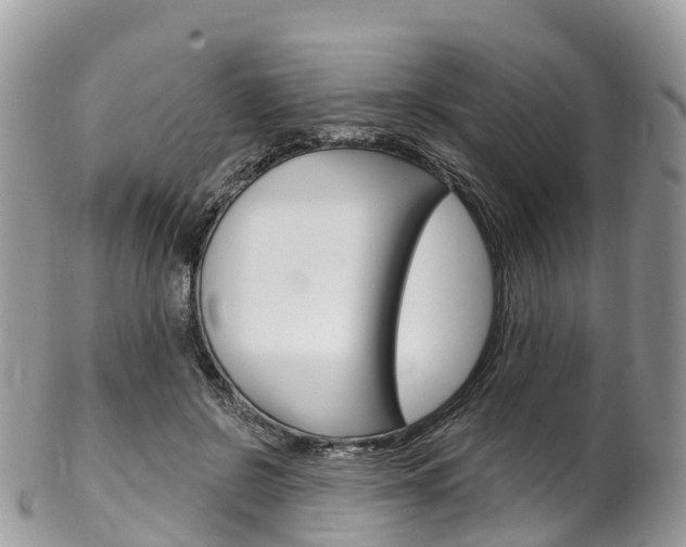 X0000102790550200808180956
