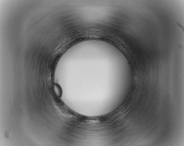 X0000102790552200808180956