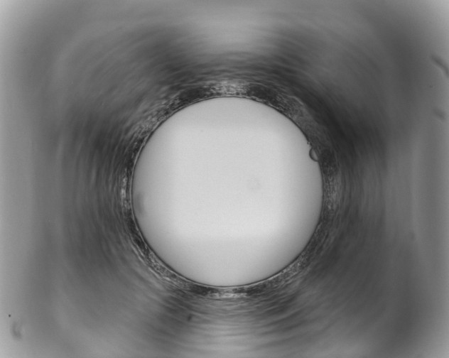 X0000102790553200808180956