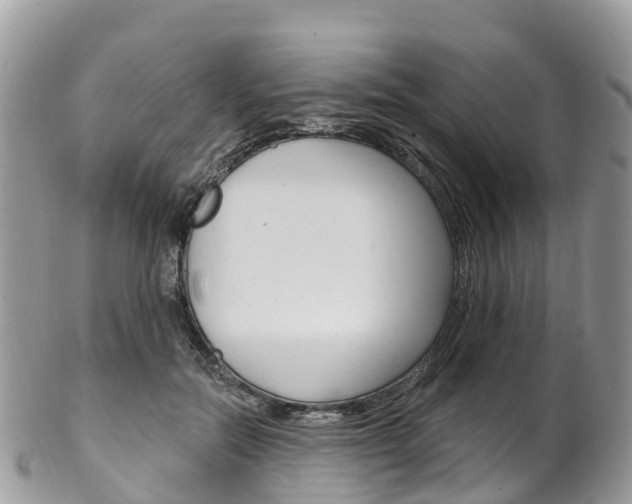 X0000102790554200808180956