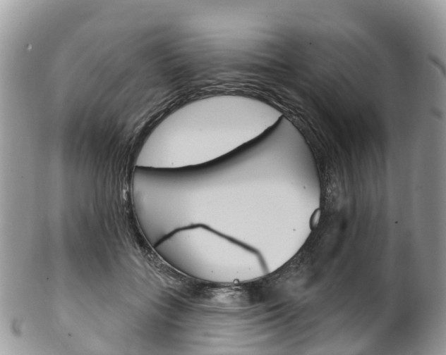 X0000102790555200808180956