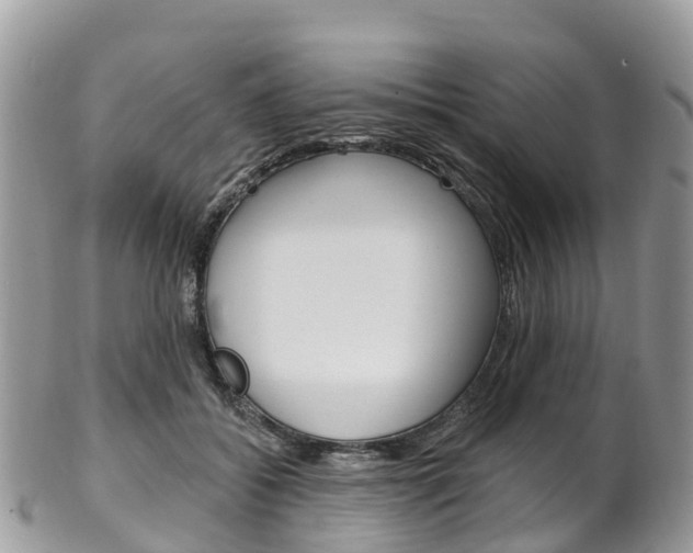 X0000102790556200808180956