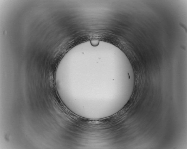 X0000102790557200808180956