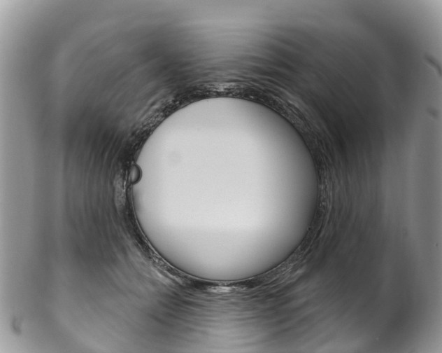 X0000102790558200808180956