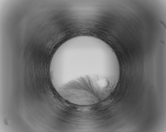 X0000102790559200808180956
