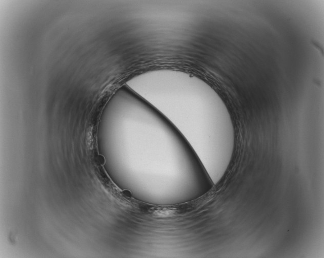 X0000102790560200808180956
