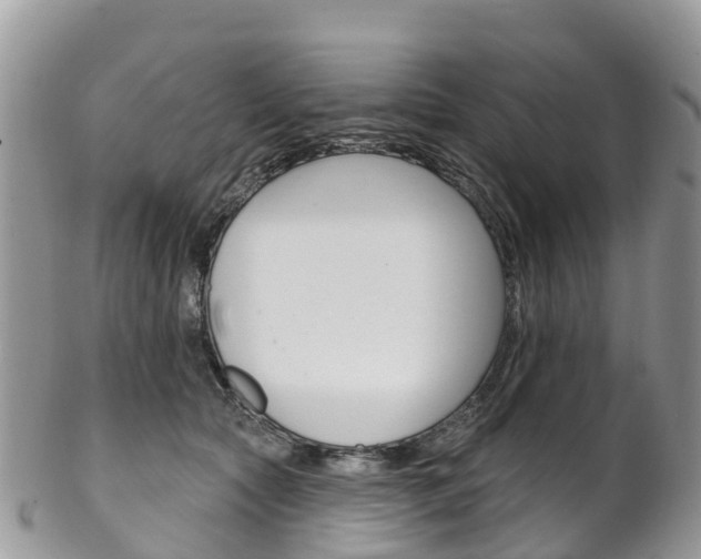 X0000102790561200808180956