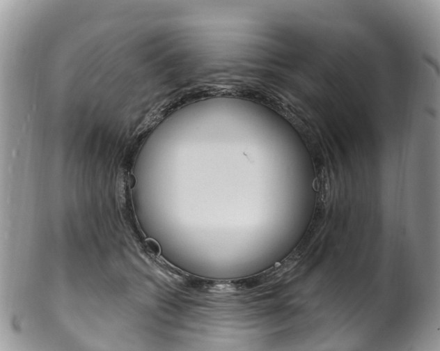 X0000102790562200808180956