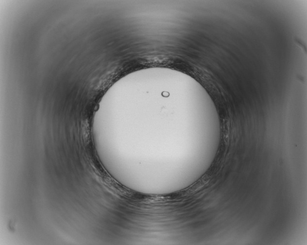 X0000102790563200808180956
