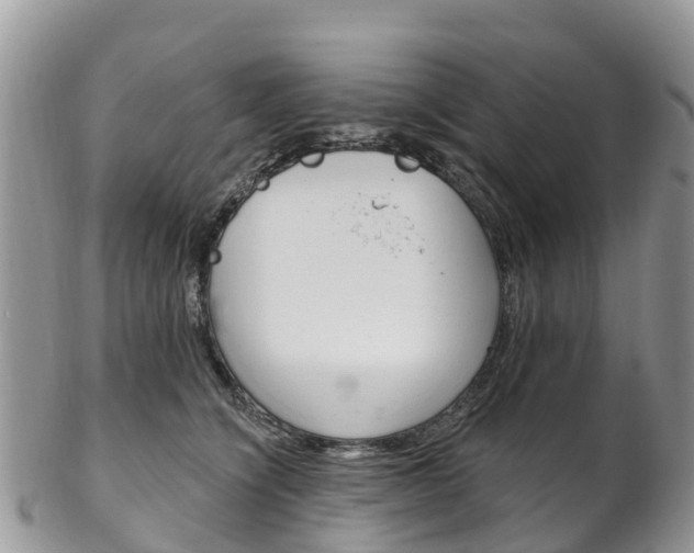 X0000102790564200808180956