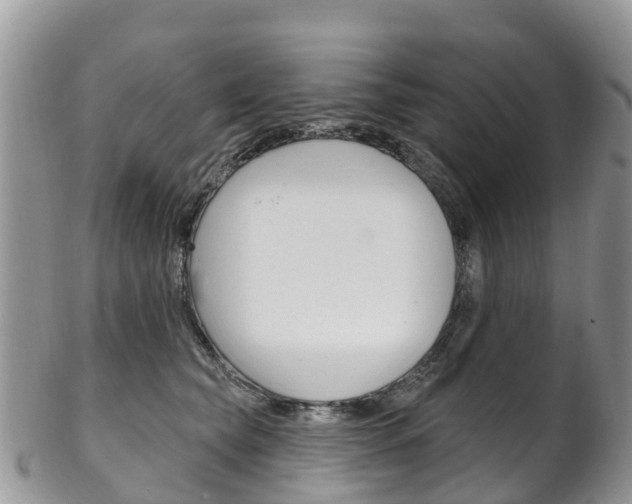 X0000102790565200808180956