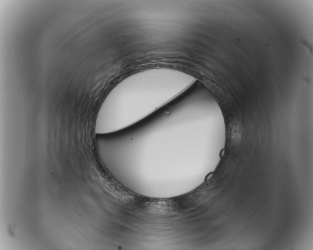 X0000102790567200808180956