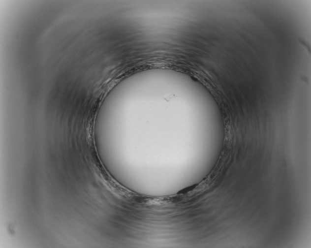 X0000102790568200808180956
