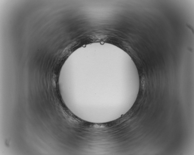 X0000102790570200808180956