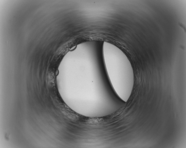 X0000102790571200808180956
