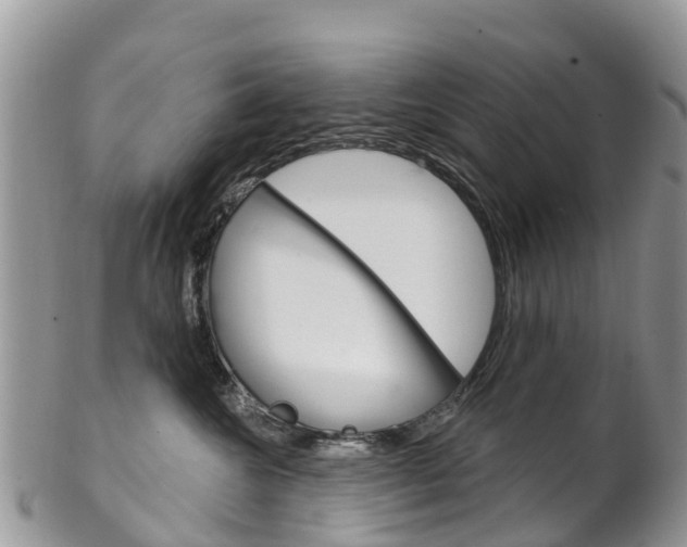 X0000102790572200808180956