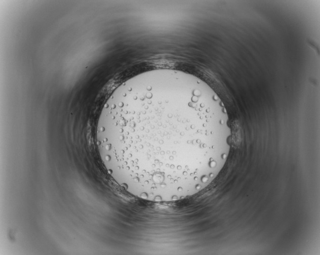 X0000102790573200808180956