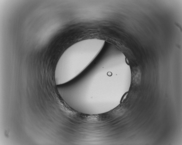 X0000102790574200808180956