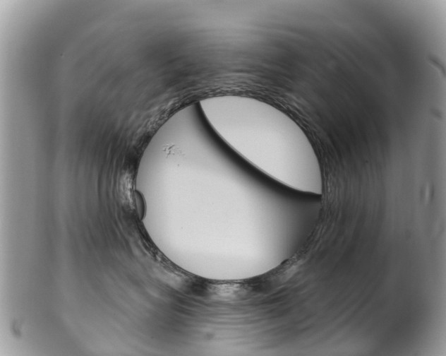 X0000102790575200808180956