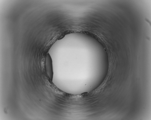 X0000102790576200808180956