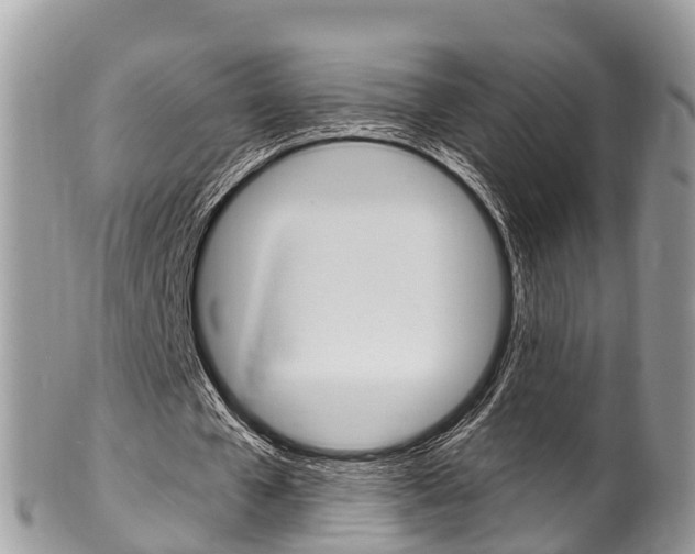 X0000102790577200808180955