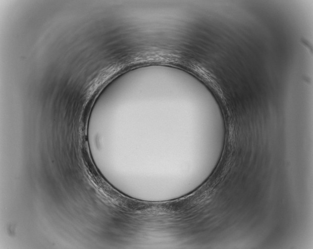 X0000102790578200808180955