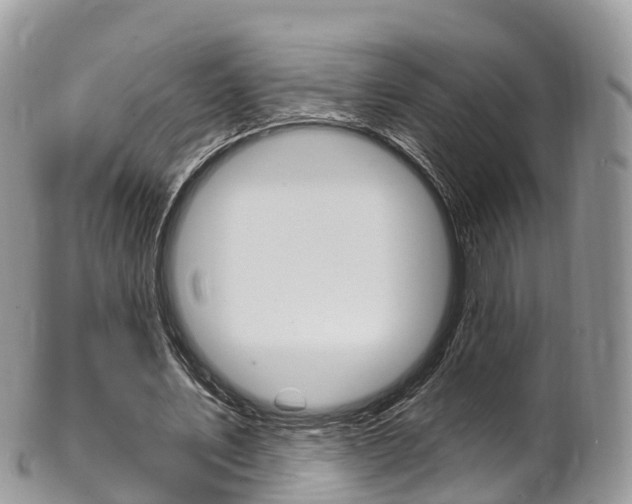 X0000102790579200808180955