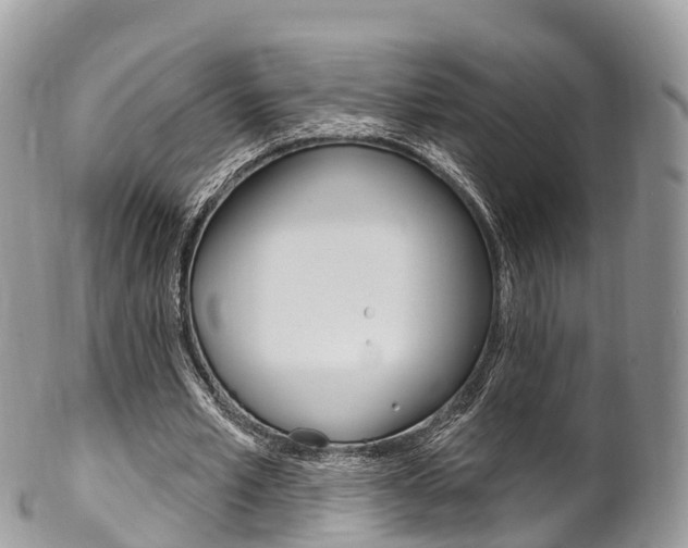 X0000102790581200808180955