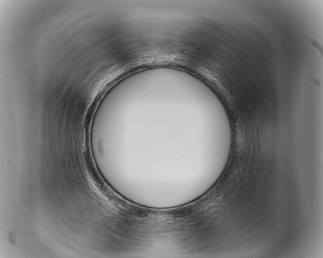 X0000102790582200808180955