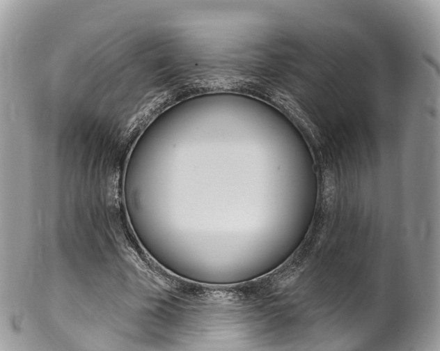 X0000102790585200808180955