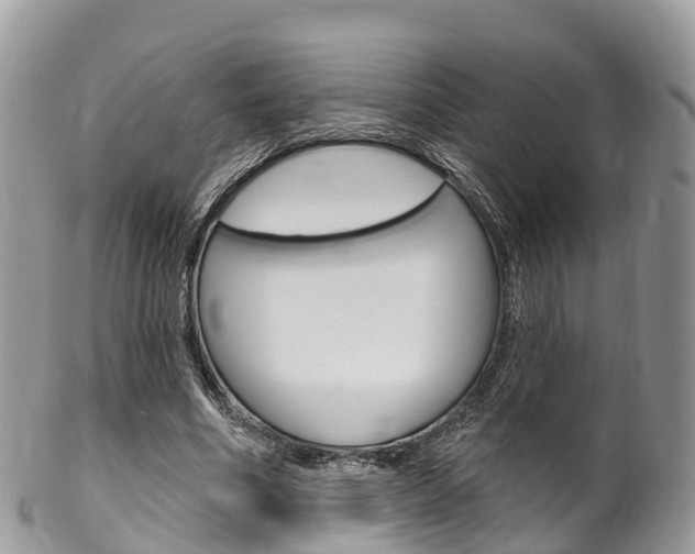 X0000102790586200808180955