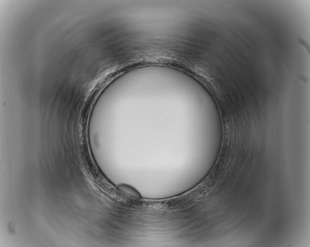 X0000102790587200808180955