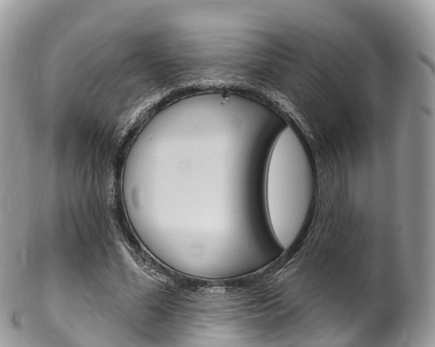 X0000102790588200808180955