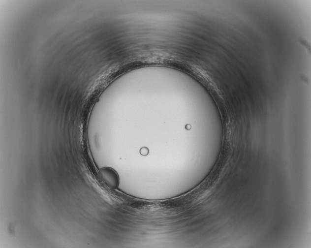 X0000102790589200808180955
