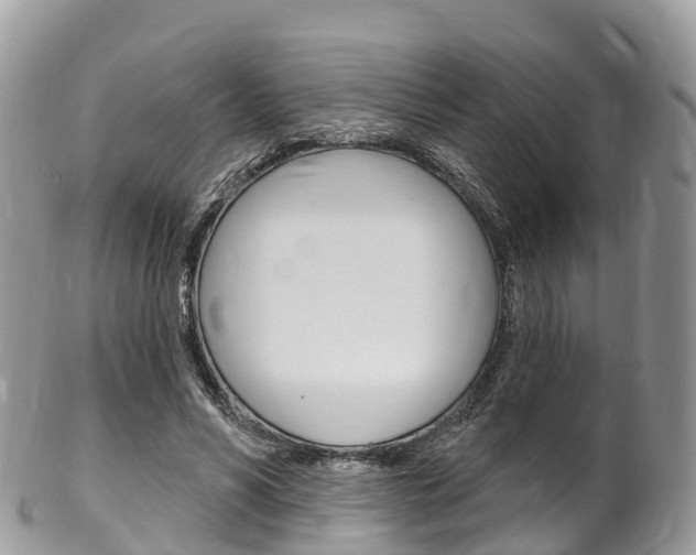 X0000102790590200808180955