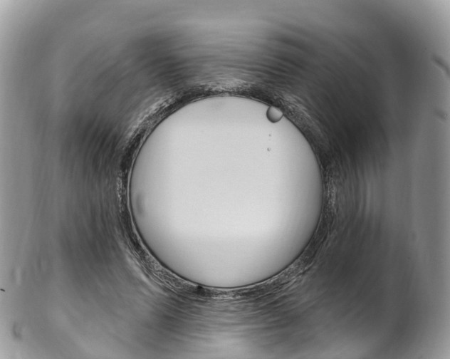 X0000102790591200808180955