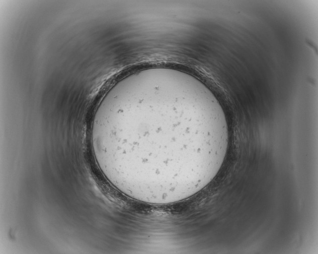 X0000102790592200808180955