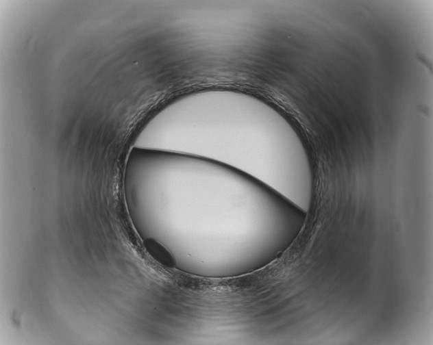 X0000102790593200808180955