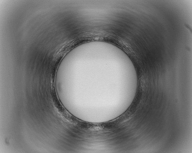 X0000102790594200808180955