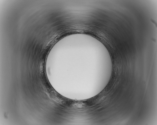 X0000102790595200808180955