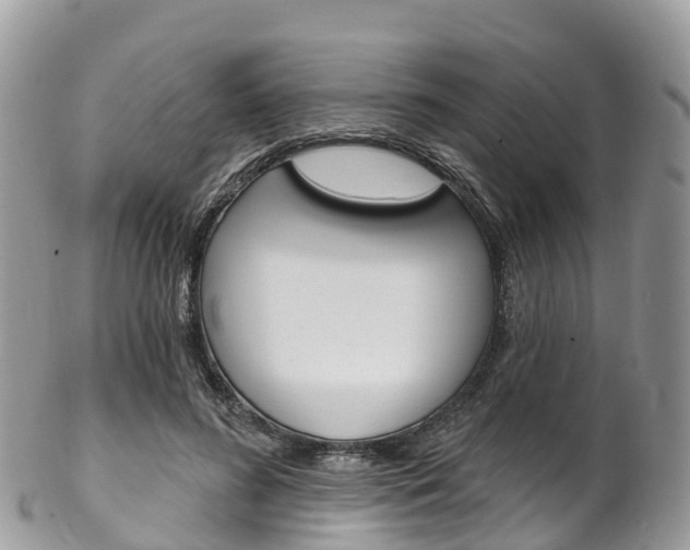 X0000102790596200808180955